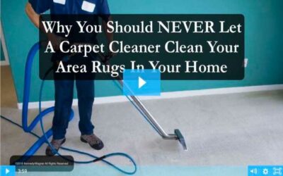 CARPET CLEANERS
