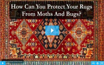 PROTECT YOUR RUGS FROM MOTHS AND BUGS