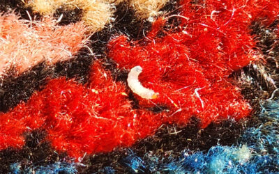 Unseen Dangers: Detecting and Addressing Moth Damage in Your Rugs